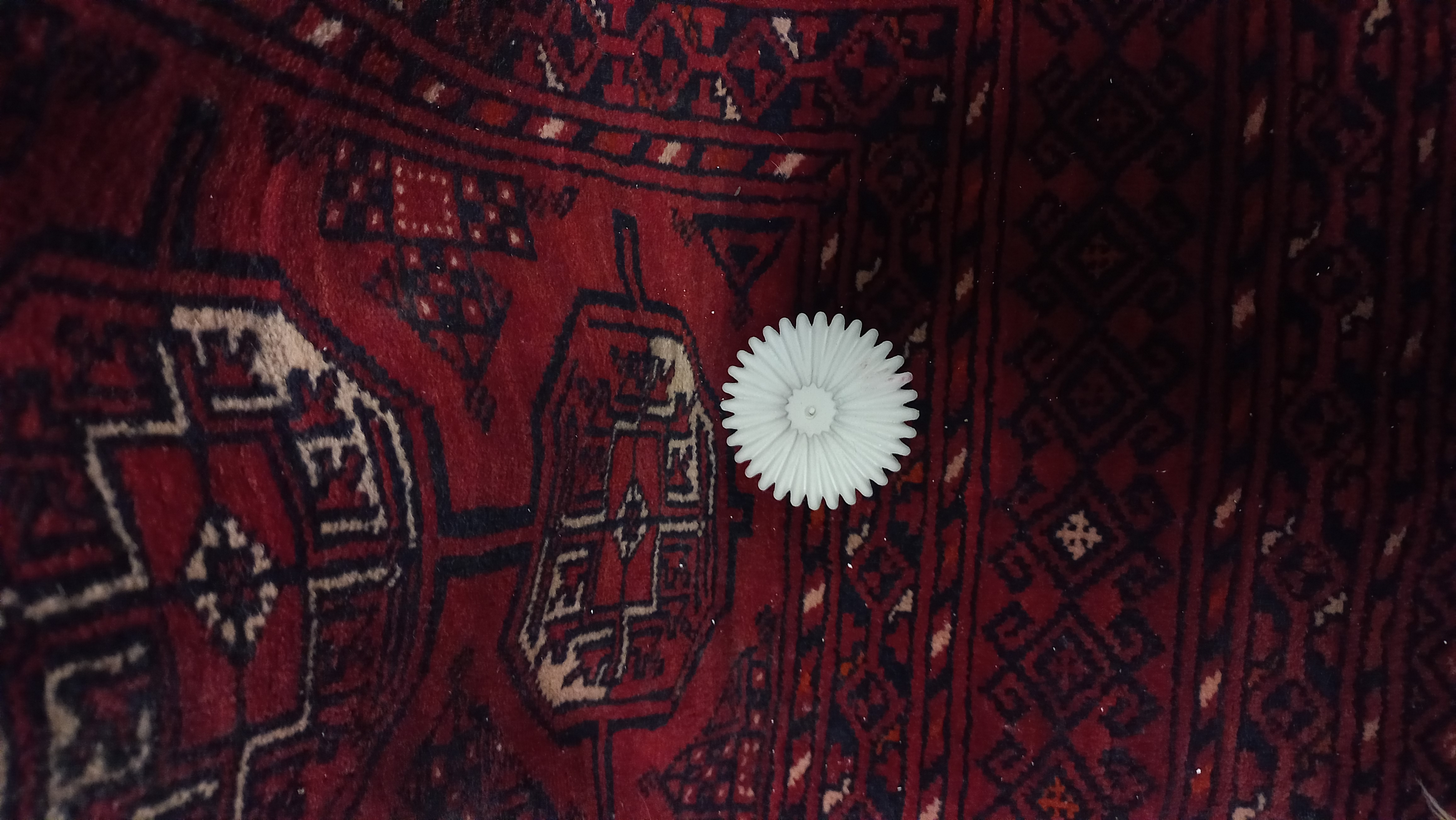 جاعودی مراکشی